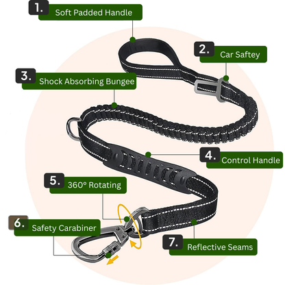 Bungee Leash