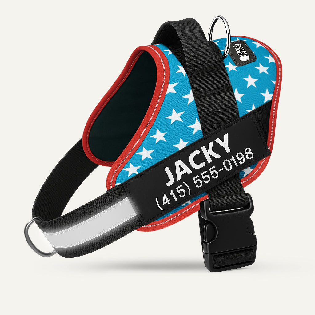 PawFalks ™ No Pull Harness