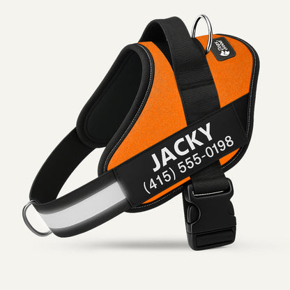 PawFalks ™ No Pull Harness