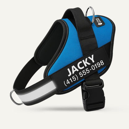 PawFalks ™ No Pull Harness