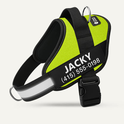 PawFalks ™ No Pull Harness
