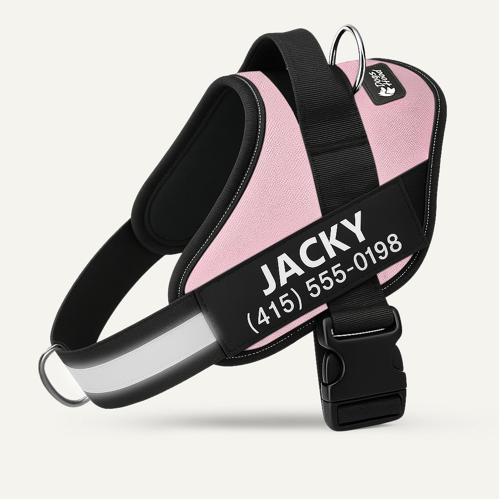 PawFalks ™ No Pull Harness