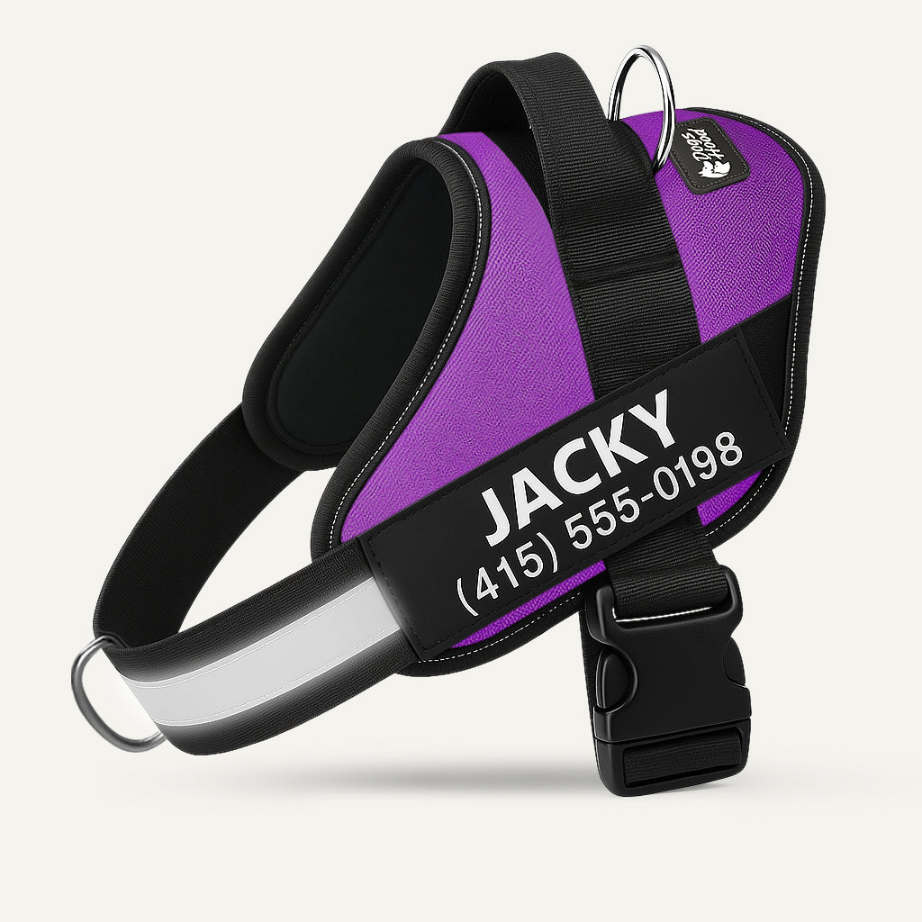 PawFalks ™ No Pull Harness