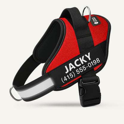 PawFalks ™ No Pull Harness