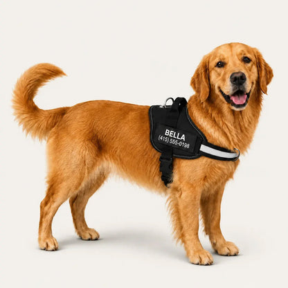 PawFalks ™ No Pull Harness